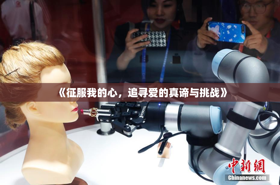 《征服我的心，追寻爱的真谛与挑战》