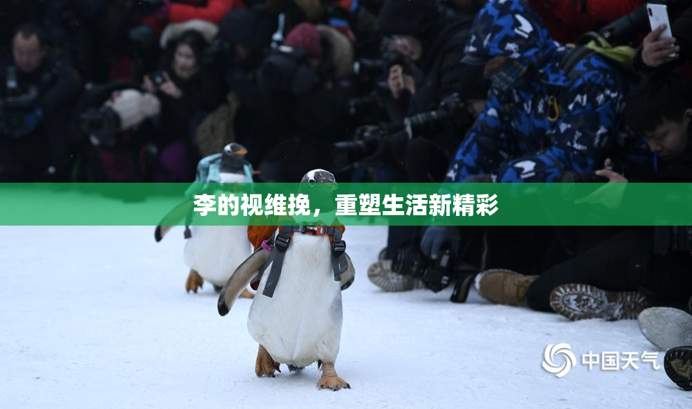 李的视维挽，重塑生活新精彩
