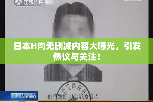 日本H肉无删减内容大曝光，引发热议与关注！