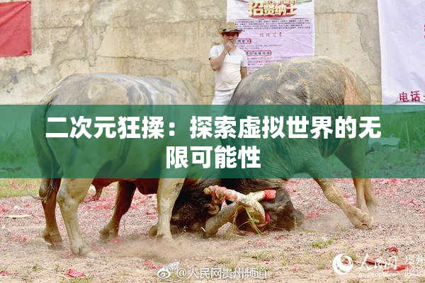 二次元狂揉：探索虚拟世界的无限可能性