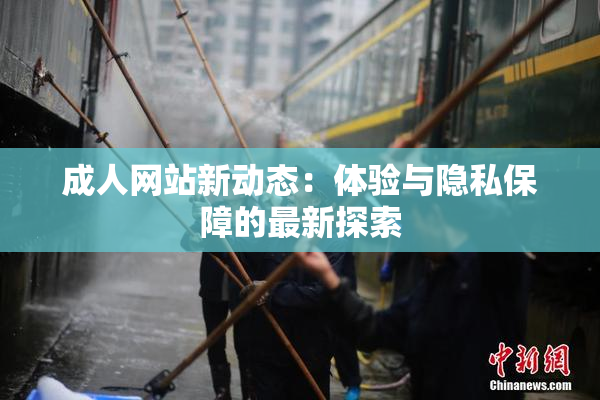 成人网站新动态：体验与隐私保障的最新探索