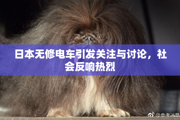 日本无修电车引发关注与讨论，社会反响热烈
