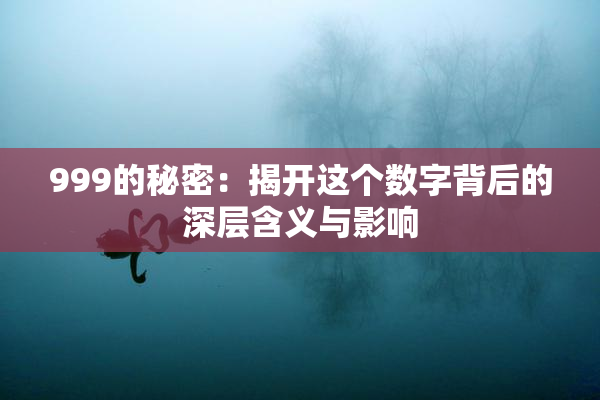 999的秘密：揭开这个数字背后的深层含义与影响