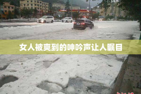 女人被爽到的呻吟声让人瞩目