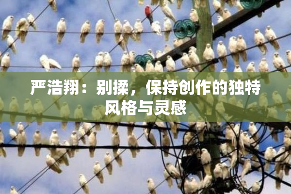 严浩翔：别揉，保持创作的独特风格与灵感