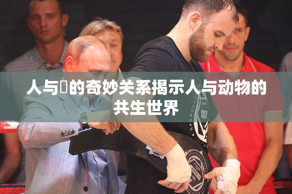 人与嘼的奇妙关系揭示人与动物的共生世界