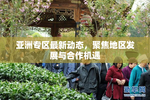 亚洲专区最新动态，聚焦地区发展与合作机遇