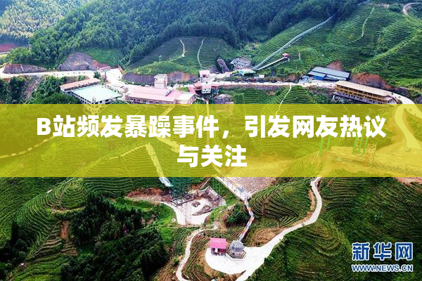 B站频发暴躁事件，引发网友热议与关注