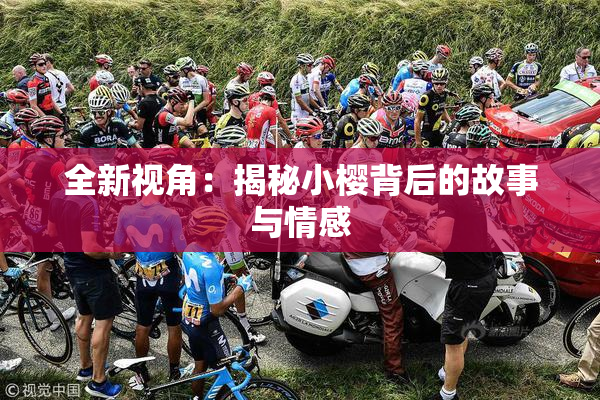 全新视角：揭秘小樱背后的故事与情感