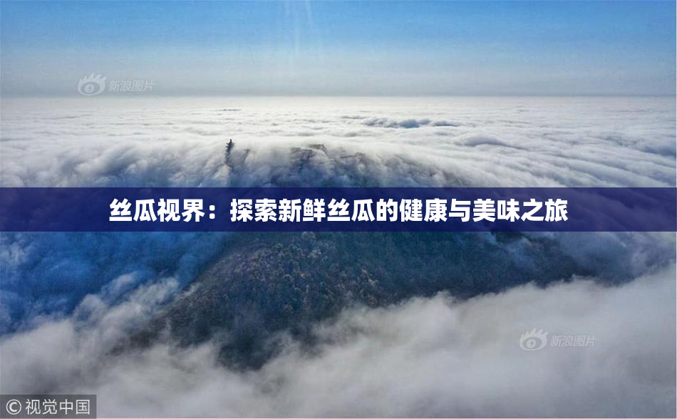 丝瓜视界：探索新鲜丝瓜的健康与美味之旅