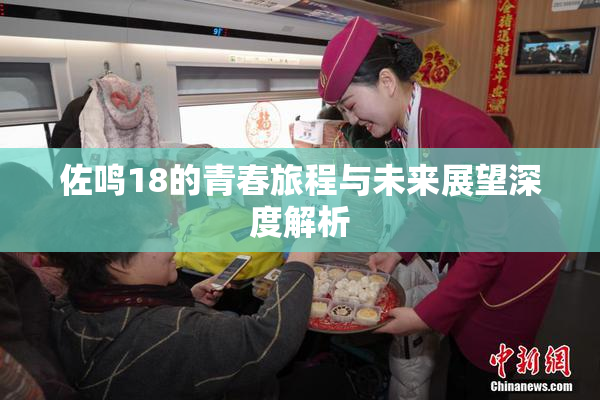 佐鸣18的青春旅程与未来展望深度解析