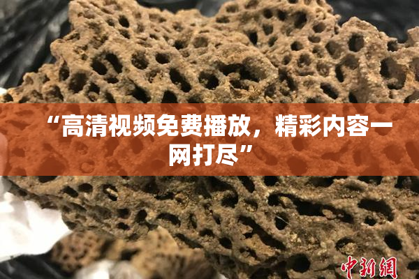 “高清视频免费播放，精彩内容一网打尽”