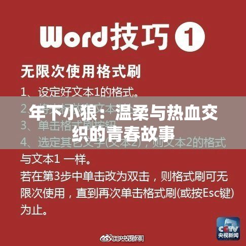年下小狼：温柔与热血交织的青春故事