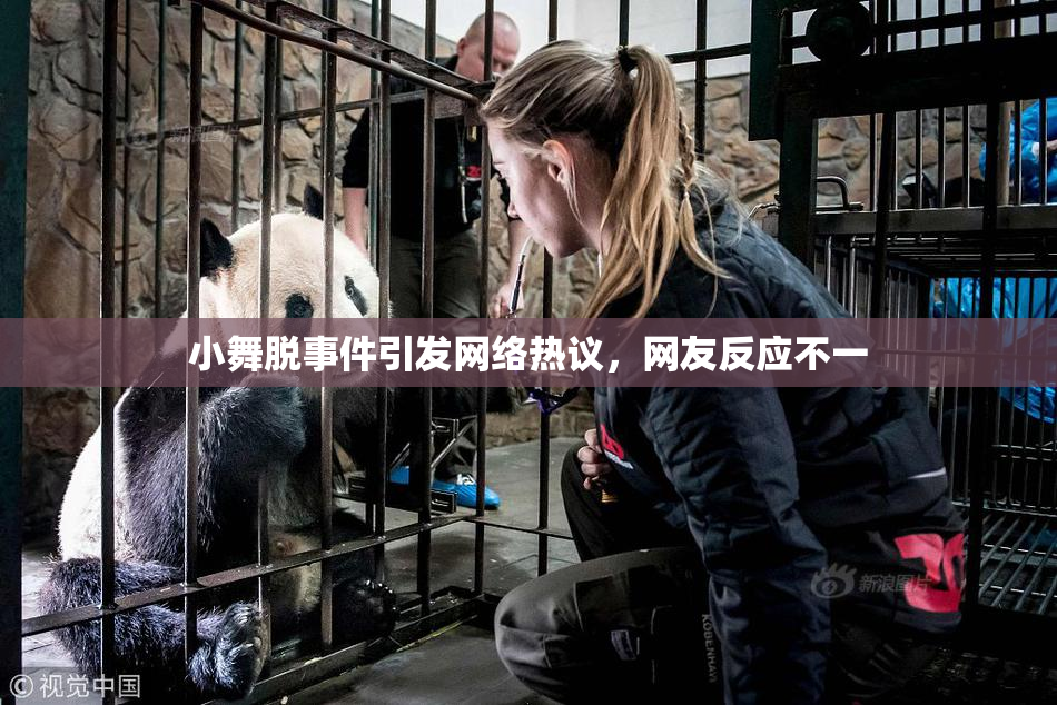 小舞脱事件引发网络热议，网友反应不一