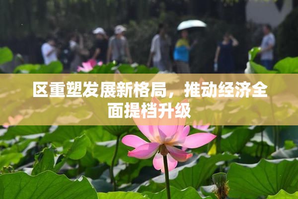 区重塑发展新格局，推动经济全面提档升级