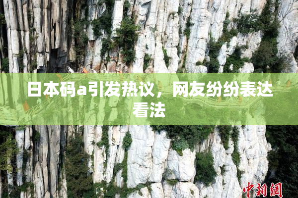 日本码a引发热议，网友纷纷表达看法