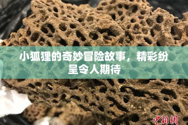 小狐狸的奇妙冒险故事，精彩纷呈令人期待