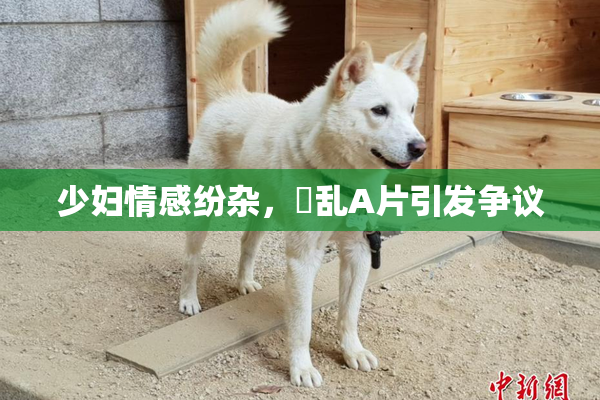 少妇情感纷杂，婬乱A片引发争议