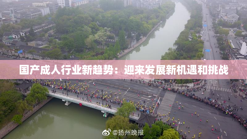 国产成人行业新趋势：迎来发展新机遇和挑战
