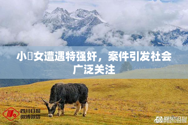 小處女遭遇特强奸，案件引发社会广泛关注