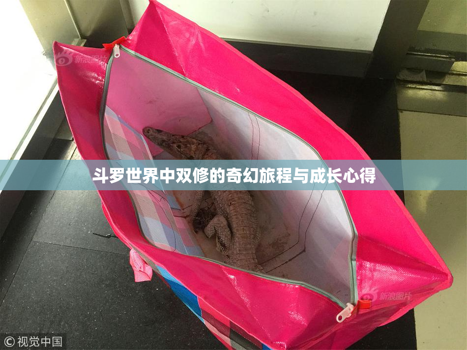 斗罗世界中双修的奇幻旅程与成长心得