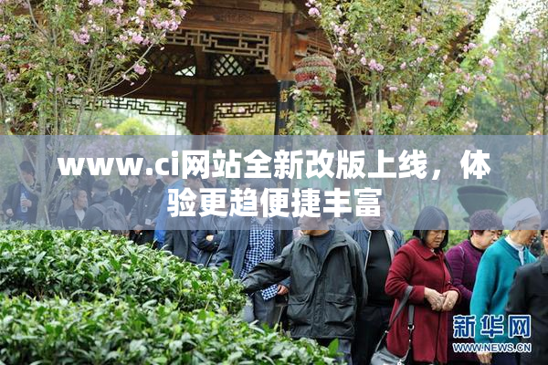 www.ci网站全新改版上线，体验更趋便捷丰富