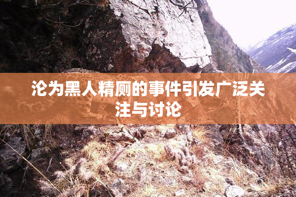 沦为黑人精厕的事件引发广泛关注与讨论