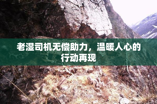老湿司机无偿助力，温暖人心的行动再现