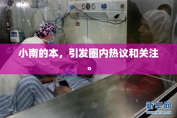 小南的本，引发圈内热议和关注。
