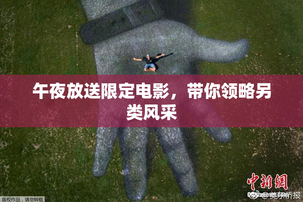 午夜放送限定电影，带你领略另类风采