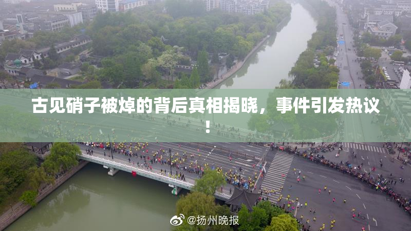 古见硝子被焯的背后真相揭晓，事件引发热议！