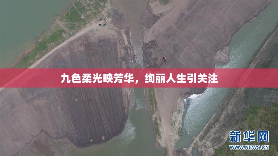 九色柔光映芳华，绚丽人生引关注