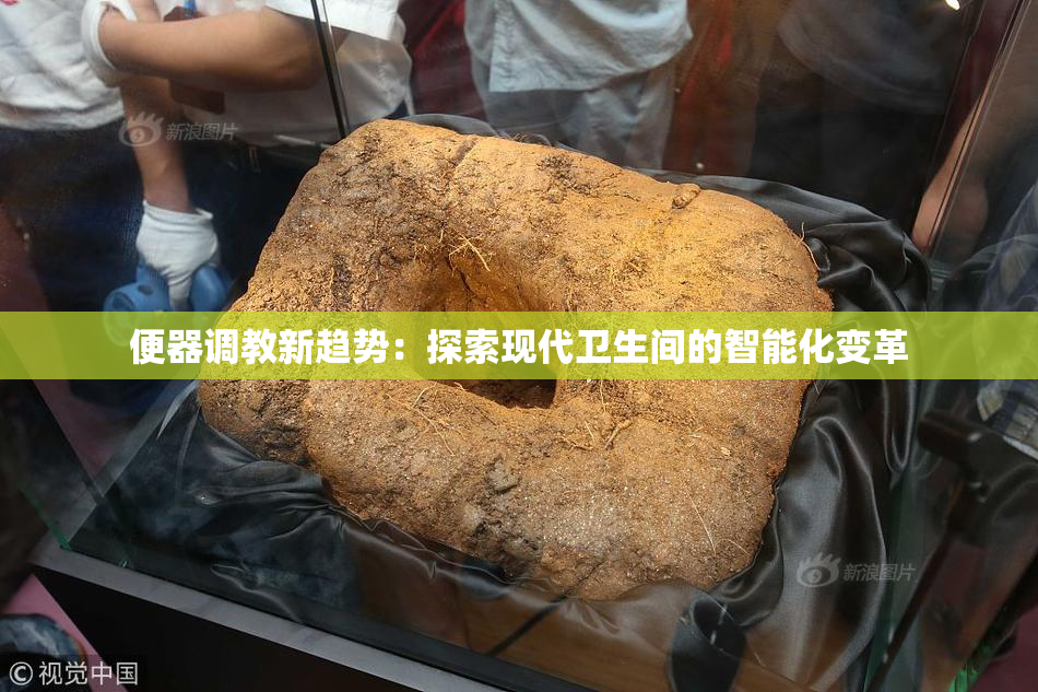 便器调教新趋势：探索现代卫生间的智能化变革