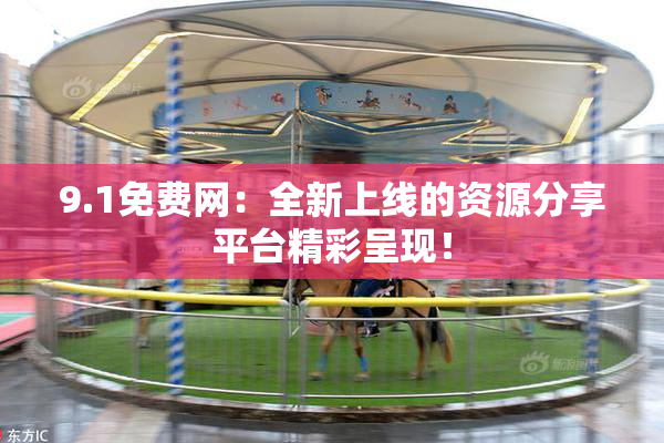 9.1免费网：全新上线的资源分享平台精彩呈现！