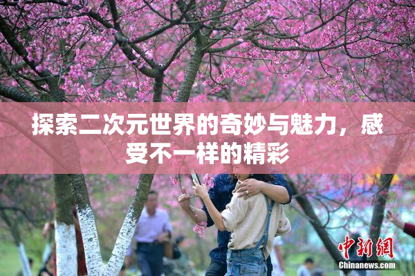 探索二次元世界的奇妙与魅力，感受不一样的精彩