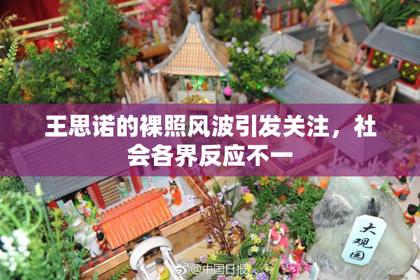 王思诺的裸照风波引发关注，社会各界反应不一