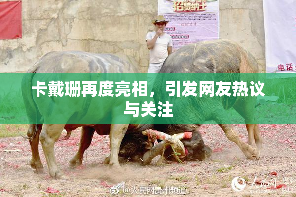 卡戴珊再度亮相，引发网友热议与关注
