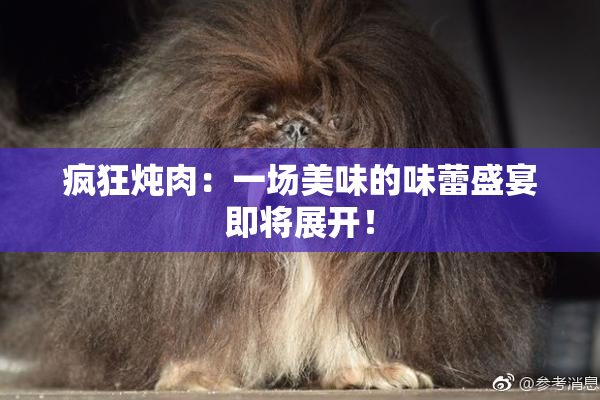 疯狂炖肉：一场美味的味蕾盛宴即将展开！