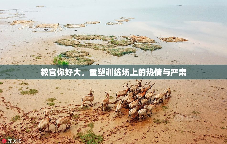 教官你好大，重塑训练场上的热情与严肃