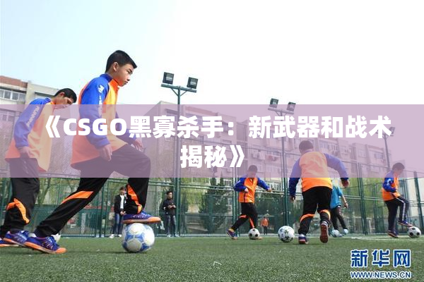 《CSGO黑寡杀手：新武器和战术揭秘》