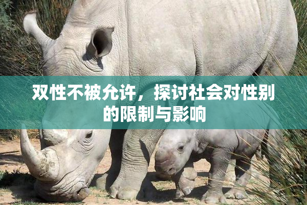 双性不被允许，探讨社会对性别的限制与影响