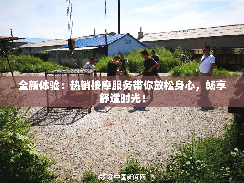 全新体验：热销按摩服务带你放松身心，畅享舒适时光！
