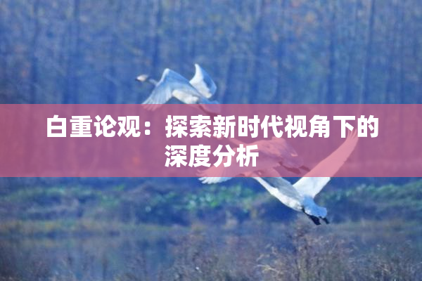 白重论观：探索新时代视角下的深度分析