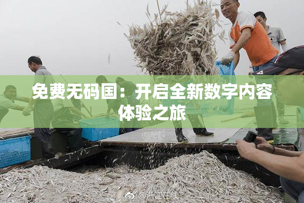 免费无码国：开启全新数字内容体验之旅