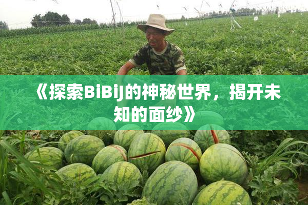 《探索BiBiJ的神秘世界，揭开未知的面纱》