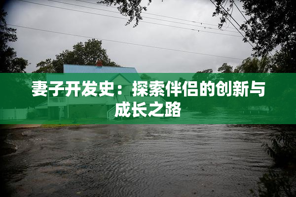 妻子开发史：探索伴侣的创新与成长之路