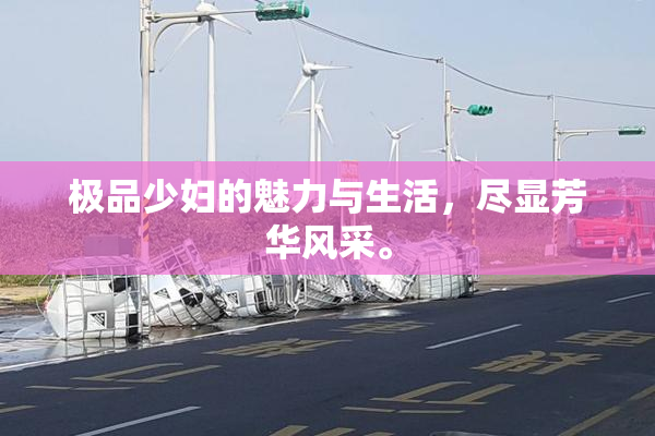 极品少妇的魅力与生活，尽显芳华风采。