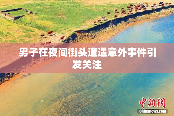 男子在夜间街头遭遇意外事件引发关注