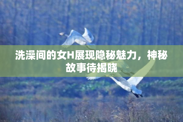 洗澡间的女H展现隐秘魅力，神秘故事待揭晓