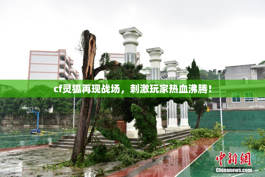 cf灵狐再现战场，刺激玩家热血沸腾！